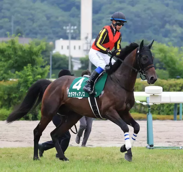 【注目馬動向】七夕賞７着カラマティアノスは９月１２日のチャレンジＣへ　サンデーサラブレッドクラブが発表