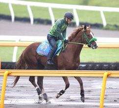 【ＪＤクラシック・浅子の特注馬】データもイッテラッシャイを後押し　衝撃Ｖの不来方賞を信頼