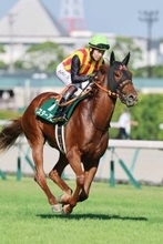 【阪神ＪＦ・超ブル診断】混戦では馬体重が重要なファクター　キャリア＆前走条件も加えると浮かび上がるのはスターアニス