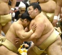 幕内・熱海富士、元乃木坂４６・松村沙友理の結婚と妊娠を祝福「おめでたいことですね」…番組などで３度共演