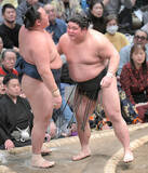 「伯乃富士が４勝目　初対戦から４連敗だった玉鷲に連勝「自分の力がついてきているところもある」」の画像1