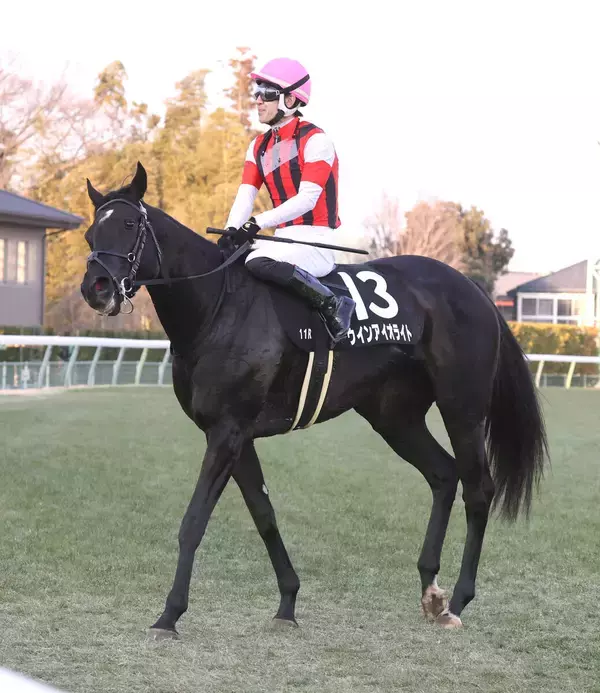 【シルクロードＳ】Ｇ１馬ウインカーネリアンの全妹ウインアイオライトが京都へ出発　矢嶋調教師「血統的に遅咲き」