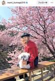 「今月６６歳になる熊谷真実の近影　愛犬と「圧巻の桜」堪能「素な笑顔」「真実さんも桜もずっと綺麗」」の画像1
