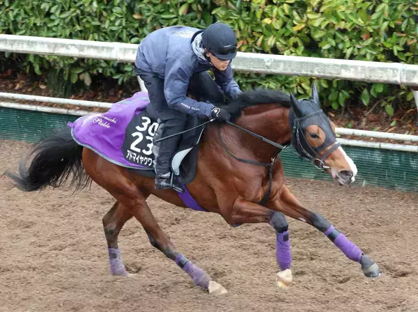 【報知杯弥生賞・ヤマタケが見た】平凡な時計だからこそ伝わる好仕上がり　アドマイヤクワッズの状態に不安なし