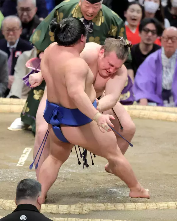 綱取りの安青錦は３勝目　豊昇龍は４勝目　勝ちっ放しは高安と隆の勝の２人に…５日目