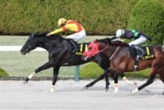 【阪神１１Ｒ・コーラルＳ】ジャスティンアースが直線で抜けだしオープン初勝利　吉村誠之助騎手「強かったですね」