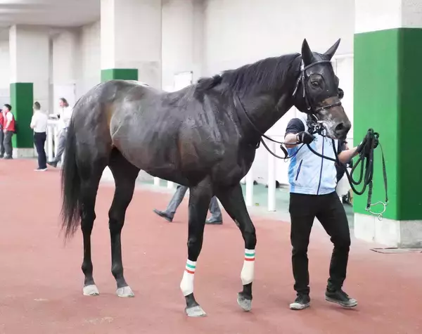【京王杯スプリングＣ】能力の高いワールズエンドに注目　陣営「重賞を取れる馬だと思っています」