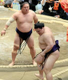 「若隆景、１２０点の低い立ち合いで初日から３連勝　勢いがそのまま下半身に伝わっていたから力強い　相撲のお手本だ..元大関・琴風の目」の画像1