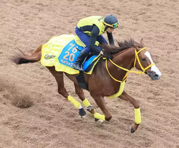 ２４年エルムＳ覇者のペイシャエスが現役引退し、美浦トレセンで乗馬に　前日に屈腱炎と発表