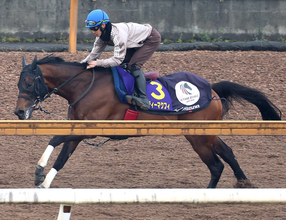 【注目馬動向】エーティーマクフィはキーンランドＣ本線　サウンドモリアーナは北九州記念で吉村誠之助騎手と初コンビ