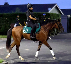 【ＰＯＧ】母はオークス４着馬アトランタが好仕上がり　１２日小倉の初陣へ高柳大調教師「ゲートが速くて気性が前向き」
