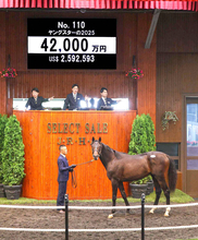 【セレクトセール２０２６】イクイノックス産駒の良血が初日最高４億２０００万円　菊花賞２着の半兄・エリキングの２倍