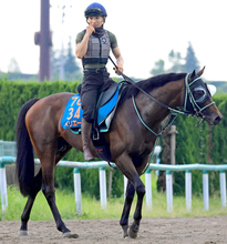 【注目馬動向】エルムＳで２着のペリエールは南部杯を目標に　Ｊｐｎ１初制覇を目指す