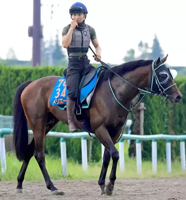 【注目馬動向】エルムＳで２着のペリエールは南部杯を目標に　Ｊｐｎ１初制覇を目指す