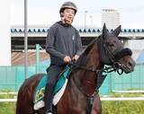 「【札幌２歳Ｓ】フライトライン産駒ショウナンガレオンは初タイトルへ２番枠から発走」の画像1