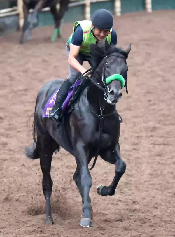 【神戸新聞杯・日曜気配】２冠馬ロブチェンはリズムよく最終調整　杉山晴調教師は最内枠に「昨日ジョッキーに聞くと…」