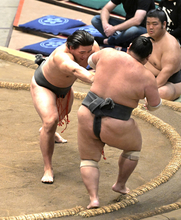 幕下・大森、勝ち越し王手も「気を付けます」　立ち合い不成立を反省