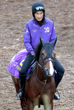 【朝日杯ＦＳ・考察】三拍子そろうリアルスティール産駒の信頼度かなり高い　ルーキー松ケ下記者アドマイヤクワッズに注目