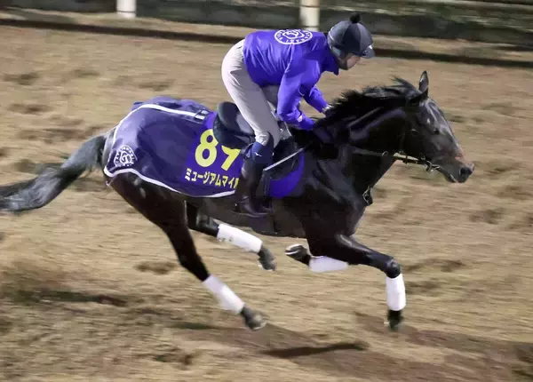 【有馬記念】強い３歳世代の代表だ！　ミュージアムマイルは坂路でパワフル　高柳大調教師「ダービーの時とは違う」