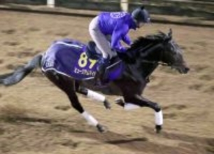 【有馬記念】強い３歳世代の代表だ！　ミュージアムマイルは坂路でパワフル　高柳大調教師「ダービーの時とは違う」