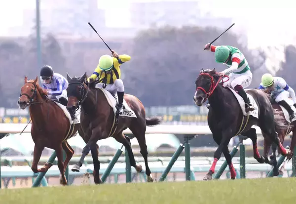 【中山５Ｒ・３歳新馬】１番人気のデイトナチャンプが鼻差Ｖ　横山武史騎手「調教からポテンシャルを」