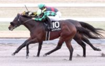 【京都１０Ｒ・大和Ｓ】「感触をつかめていた」荻野極騎手　ポッドベイダーがゴール前で差し切る