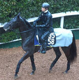 「【注目馬動向】名牝クロノジェネシスの初子ベレシートは蹄の状態次第で京都新聞杯を視野」の画像1