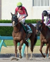 【マーチＳ】１番人気オメガギネスは７着　横山和生騎手「うまくスタートを決められなかったです」