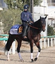 【注目馬動向】クロッカスＳを勝ったオルネーロはＮＨＫマイルＣへ直行　キャロットクラブが発表