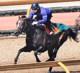 「【桜花賞】ドリームコアは０６年以来勝ち星のない７枠１４番　萩原調教師「ジョッキーが対応してくれる」とルメール騎手を信頼」の画像1