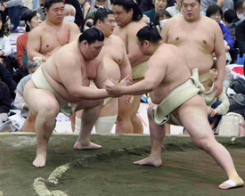 横綱・大の里が春巡業で初のぶつかり稽古「焦りはある。でも夏場所に間に合わせることが大事」　