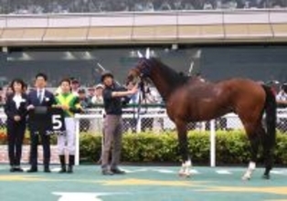 【阪神１１Ｒ・立雲峡Ｓ】名牝スイープトウショウの最後の子　スイープアワーズが直線一気　国分優作騎手「素晴らしい脚」