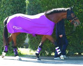 【注目馬動向】アドマイヤクワッズのＮＨＫマイルＣは引き続き坂井瑠星騎手とのコンビ