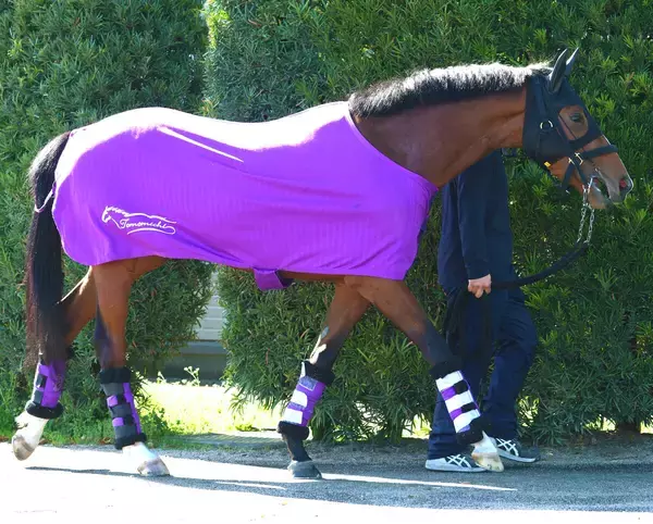 【注目馬動向】アドマイヤクワッズのＮＨＫマイルＣは引き続き坂井瑠星騎手とのコンビ