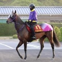 【ヴィクトリアＭ・直前情報】超良血ジョスラン開花の時　前走の経験生かし陣営は入れ込み対策万全！
