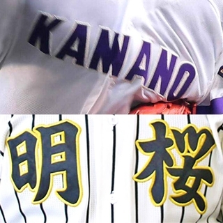 【高校野球】昨夏４強が初戦で“全滅”の秋田「どうなってんだこれ」「見たことない」ネット沸く「無名校にもチャンスある」期待の声も