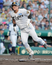 【阪神】前川右京がヒヤリ…自打球が左膝に当たり倒れ込む