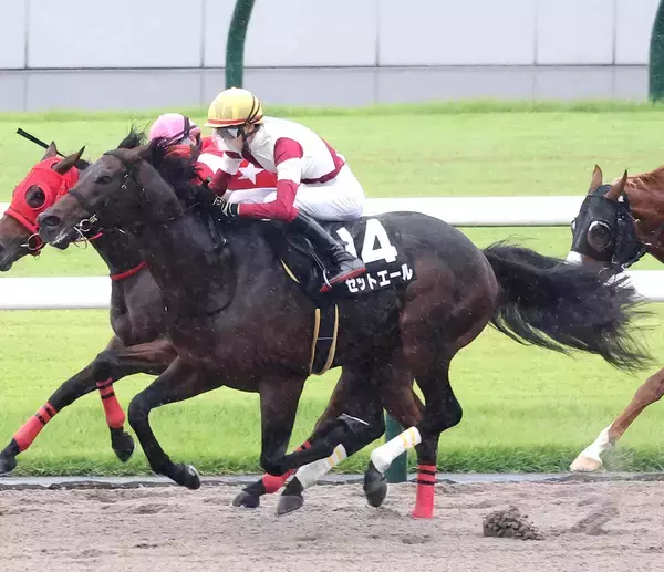 【注目馬動向】藤森Ｓ快勝のゼットエールはカペラＳで重賞初挑戦　新馬勝ちのトロカアニマダは黄菊賞で連勝狙う