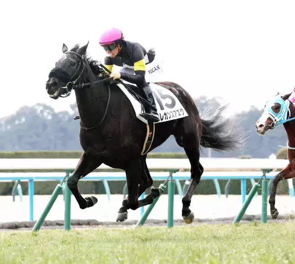 【京都５Ｒ・３歳新馬】エレガンスアスクが人気に応え３馬身差で快勝　川田将雅騎手「いい走りが出来ました」