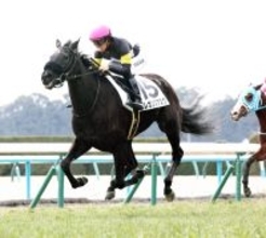 【京都５Ｒ・３歳新馬】エレガンスアスクが人気に応え３馬身差で快勝　川田将雅騎手「いい走りが出来ました」