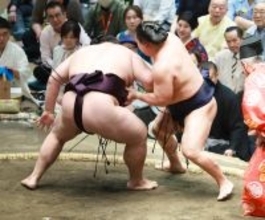 若隆景が７勝目　王鵬に勝ち、１敗守る