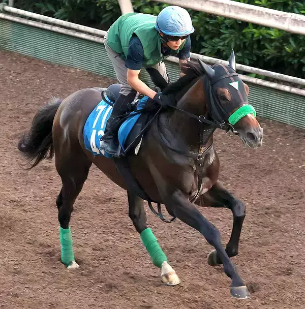 【小倉記念】ジョバンニは”序盤に”位置が取れて小回りＯＫ　陣営「タイトルがほしいです」坂路でしっかり折り合う