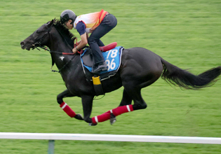 【札幌日経賞】未完の大器ミラージュナイトは札幌の芝でダイナミックに鋭伸　杉山佳調教師「よく脚も動いていました」