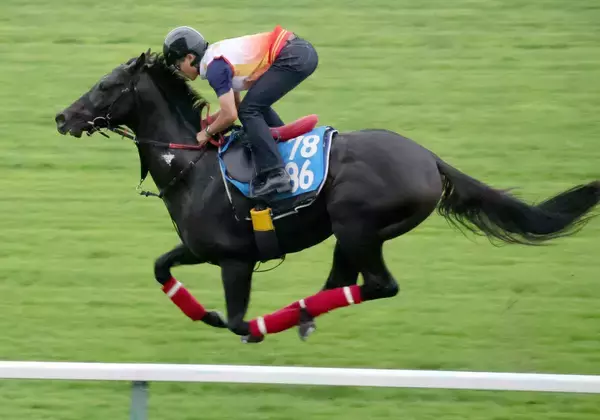 【札幌日経賞】未完の大器ミラージュナイトは札幌の芝でダイナミックに鋭伸　杉山佳調教師「よく脚も動いていました」