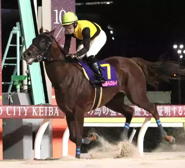 【大井競馬】レディスプレリュードの売得金は前年比１１２・６％の１２億円超　メモリアカフェが豪快差し切り
