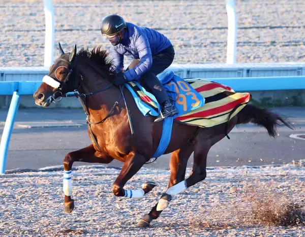 【中日新聞杯】魚沼Ｓを快勝したシンハナーダは７枠１４番　２連勝中のファミリータイムは２枠４番に決定