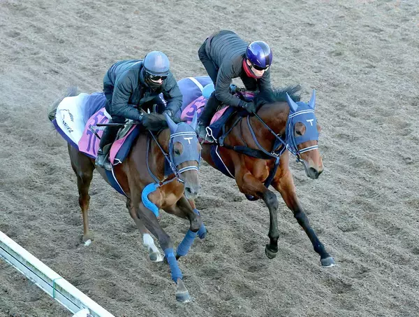【シンザン記念】状態◎寒さ忘れさせるような活気！ディアダイヤモンドが坂路で併入　手塚久調教師「とても良かった」