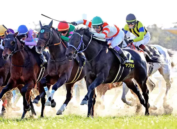 【京都１１Ｒ・淀短距離Ｓ】デビュー40年目の武豊騎手が今年初のメインレースＶ　ヤブサメとＶ射止めた