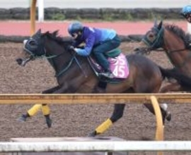 【フローラＳ】リアライズルミナスが絶好調・松山弘平騎手と権利取りへ　陣営「東京も合うと思います」