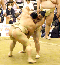 幕内・平戸海が２６歳の誕生日「もういい年。三役へ復帰したい」